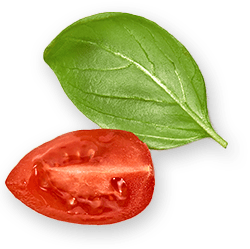 Tomat Leaf.png