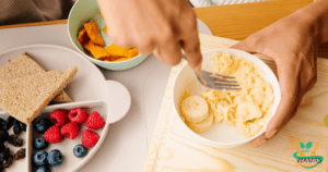 Which is Best Blw Meal Plan 2024 | Wamrs